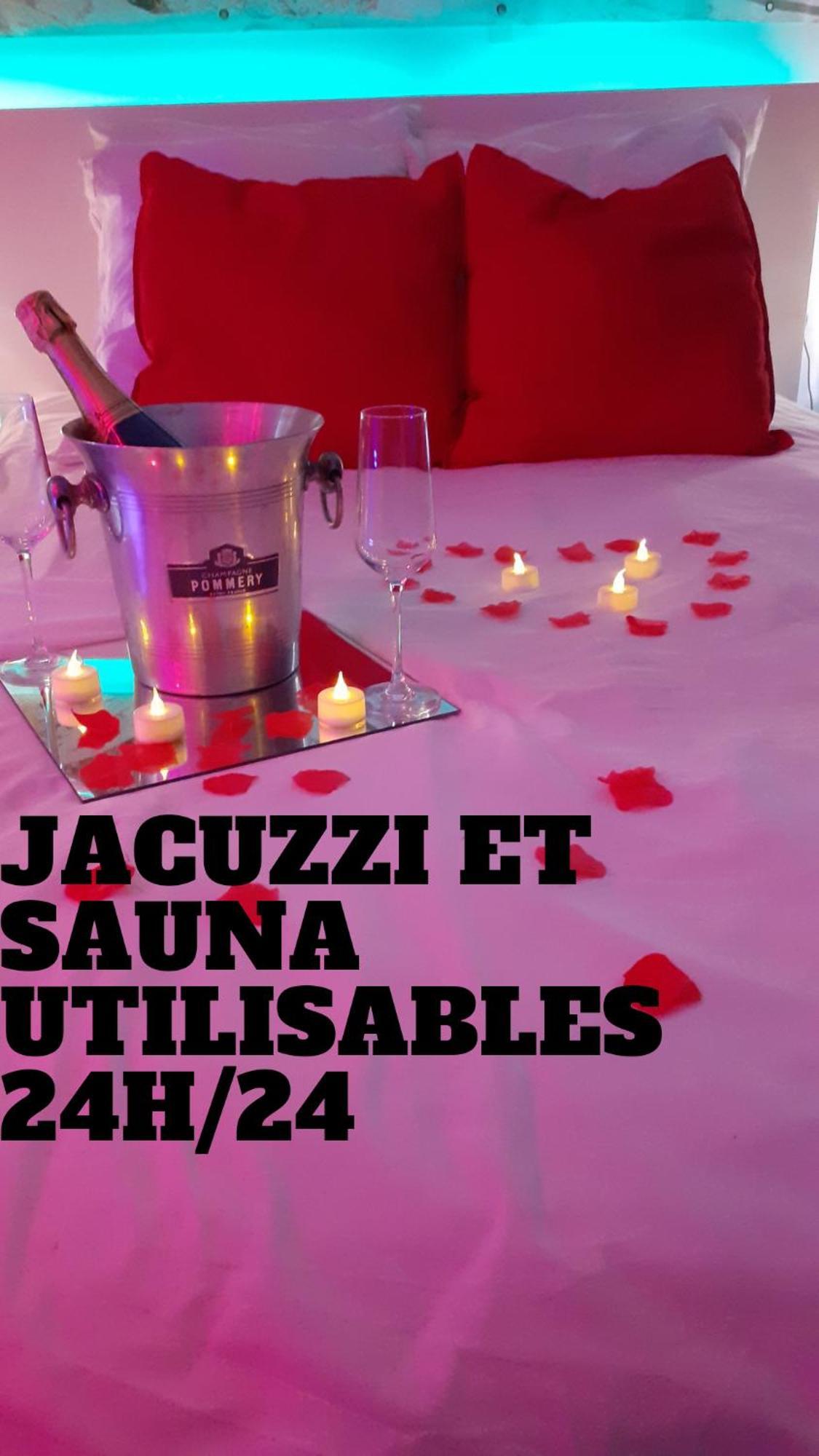 Le Bijou Avec Jacuzzi Et Sauna Privatif Terrasse Plein Sud Clim Parking Privatif Appartement